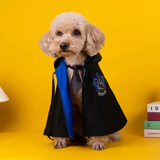 Harry Potter dog costume