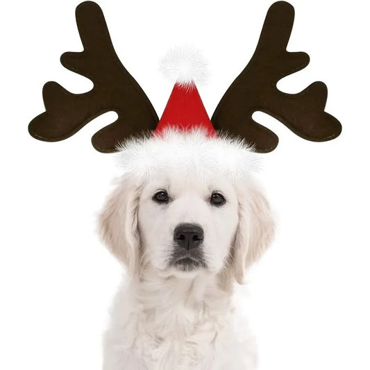 Christmas Elk Headband for Dogs