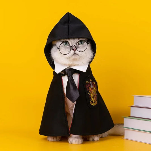 Harry Potter costume for cat